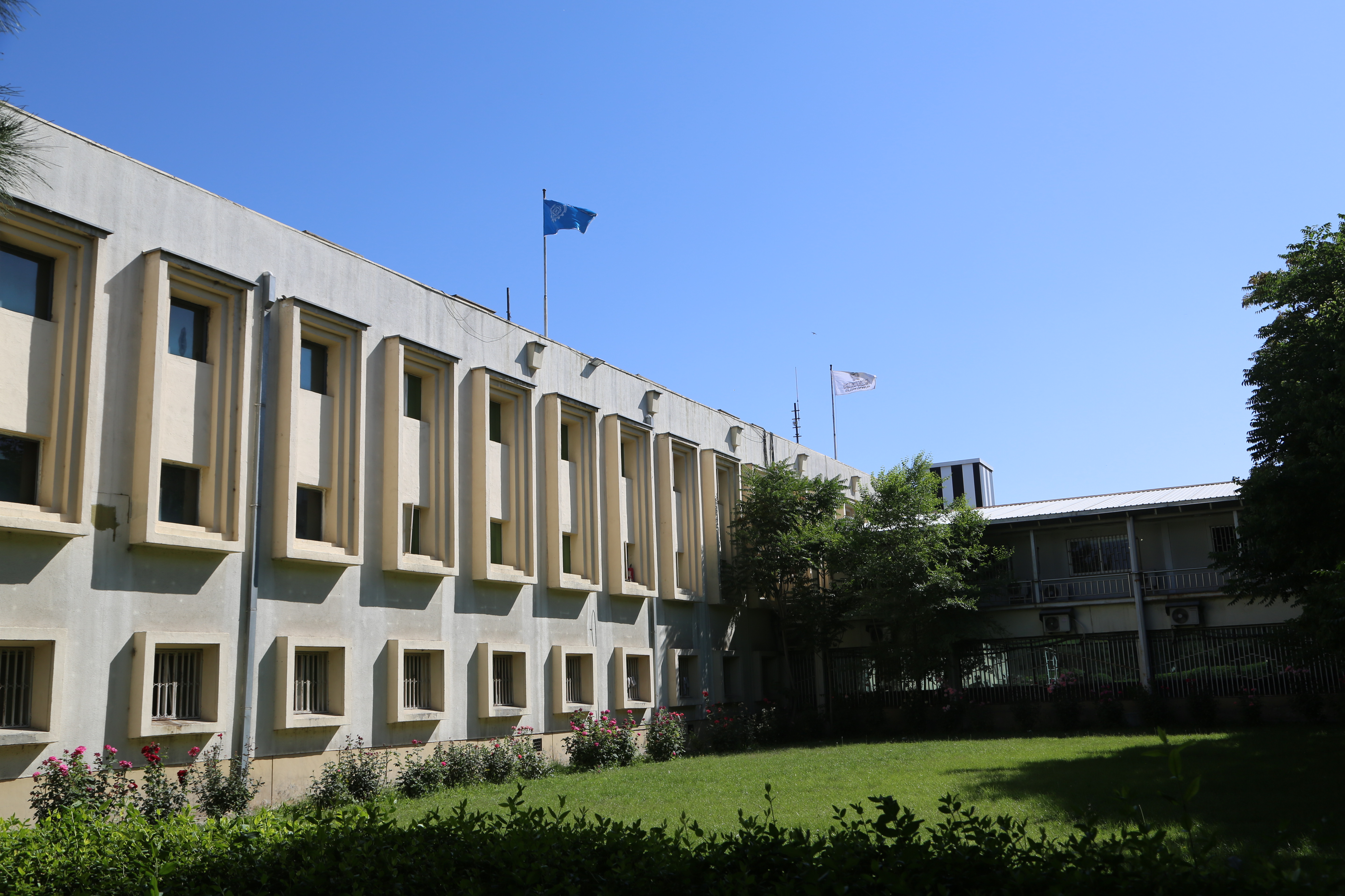 د ادارو تفتیش